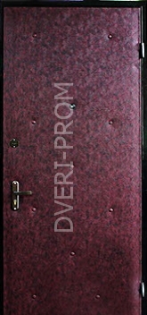 Фотография «Дверь Винилискожа №25»