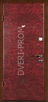 Фотография «Дверь Винилискожа №24»