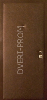 Фотография «Дверь Винилискожа №22»