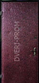 Фотография «Дверь Винилискожа №25»