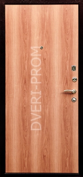 Фотография «Дверь Ламинат №2»