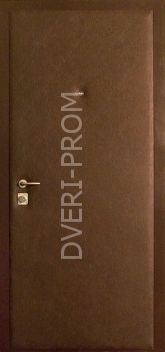 Фотография «Дверь Винилискожа №22»